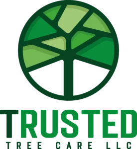 Trusted Tree Care | Trusted Tree Care Trusted Tree Care Peoria Arizona