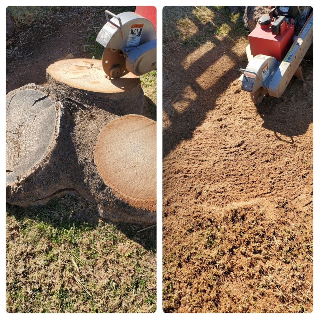 Residential Oak stump Grinding before and after