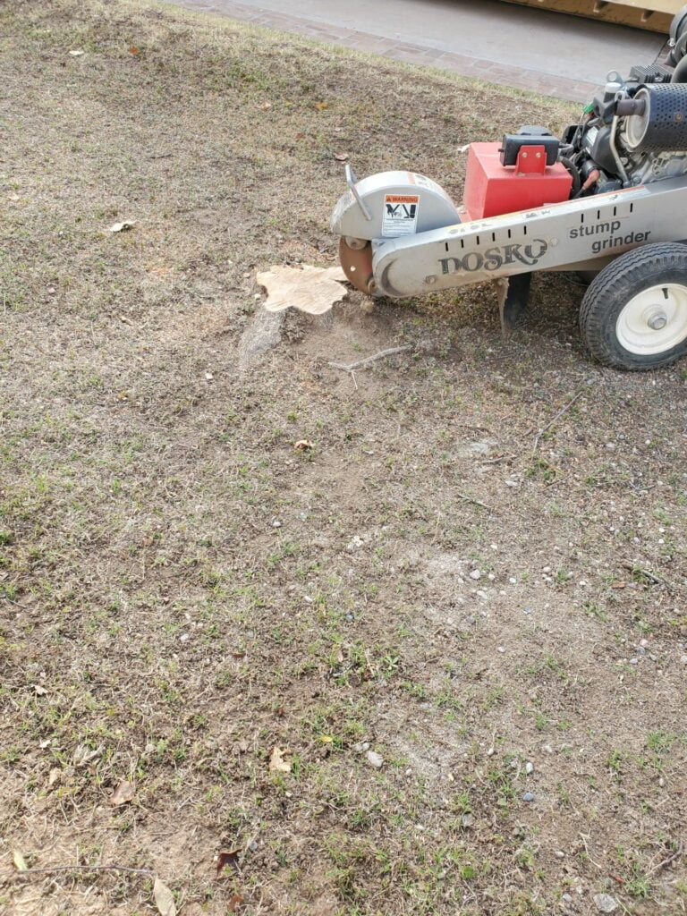 Residential Small stump grinding