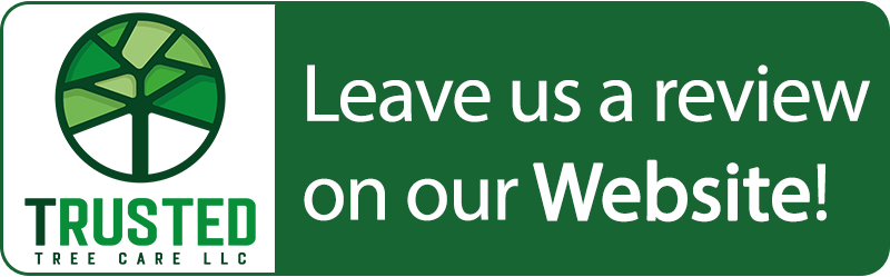 Trusted-Tree-Care-Reviews | Trusted Tree Care